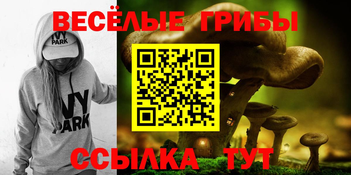 Галлюциногенные грибы мицелий Ржев
