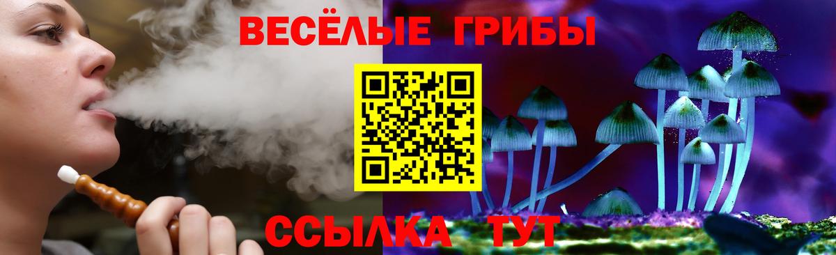 Ржев  Псилоцибиновые грибы мухоморы  Псилоцибиновые грибы прущие грибы  Вход с VPN 